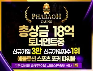 만족도 높은 먹튀검증 안전 토토사이트 파라오슬롯입니다